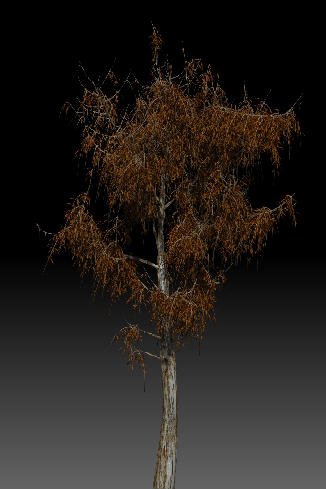 tree1.jpg