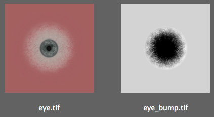 eyemaps.jpg