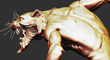 Thumb.jpg