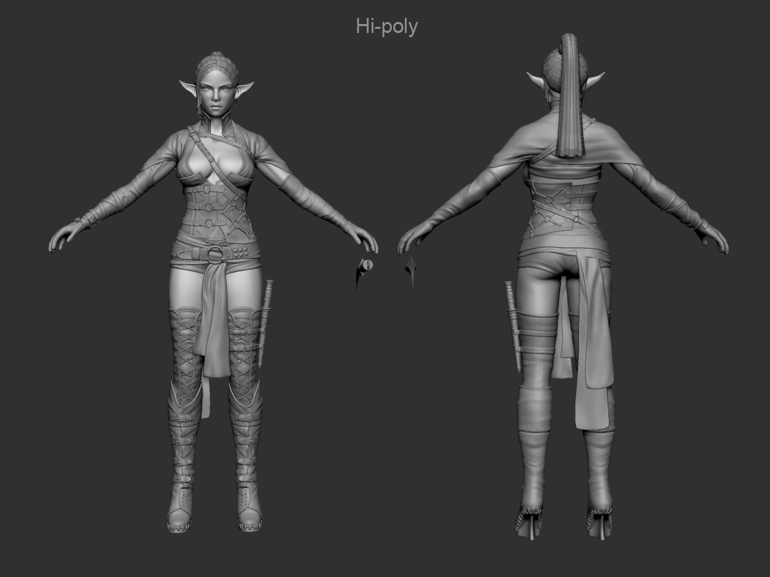 ZBrushHipoly.jpg