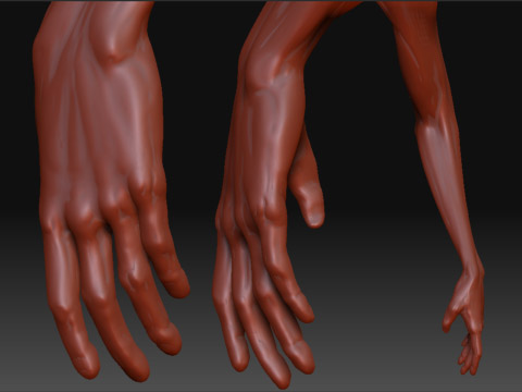 arm.jpg