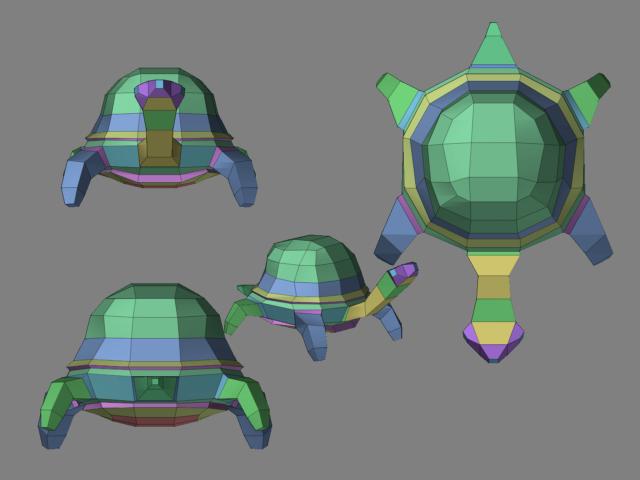 turtle.JPG