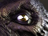 ZBC_THUMB.jpg