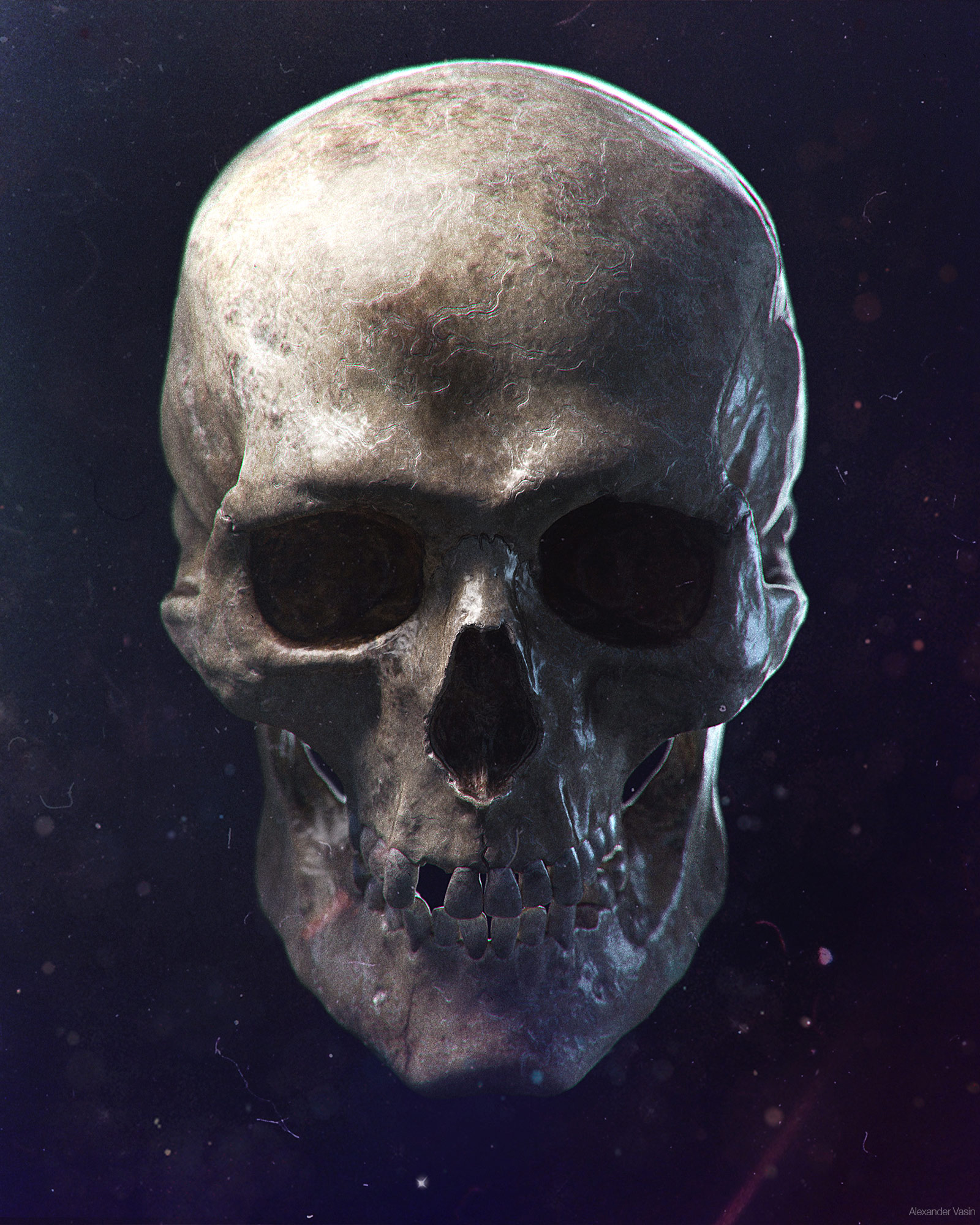 skull.jpg