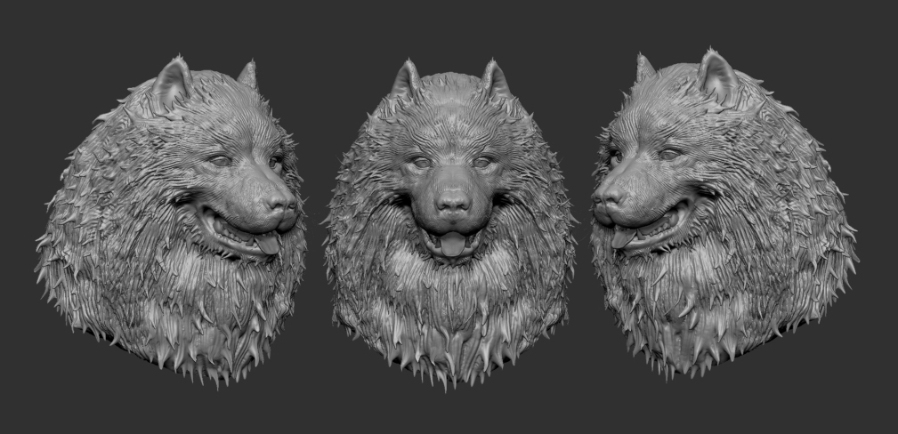 samoyed.jpg