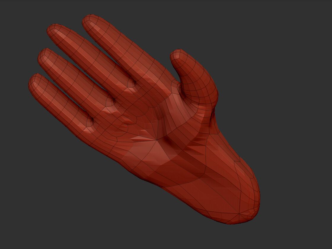Hand_02_14_2010_02.JPG