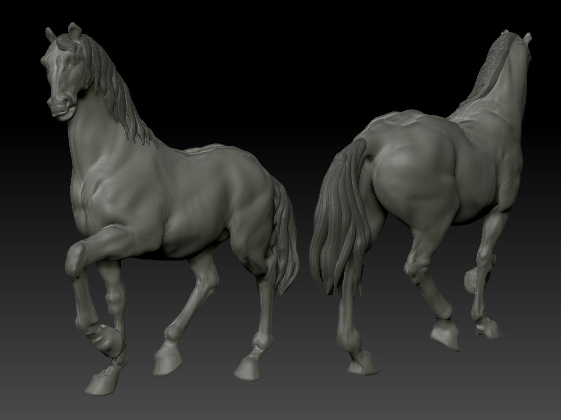 cheval24.jpg