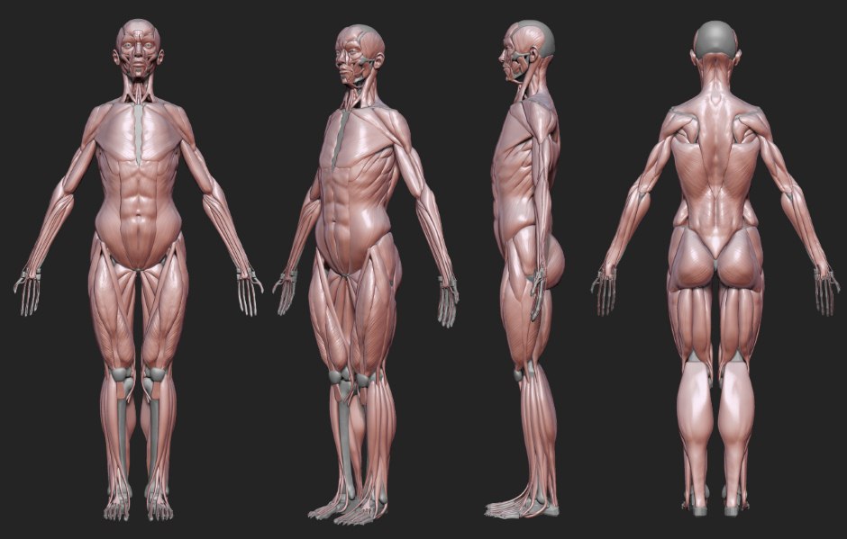 BodyFinished.jpeg