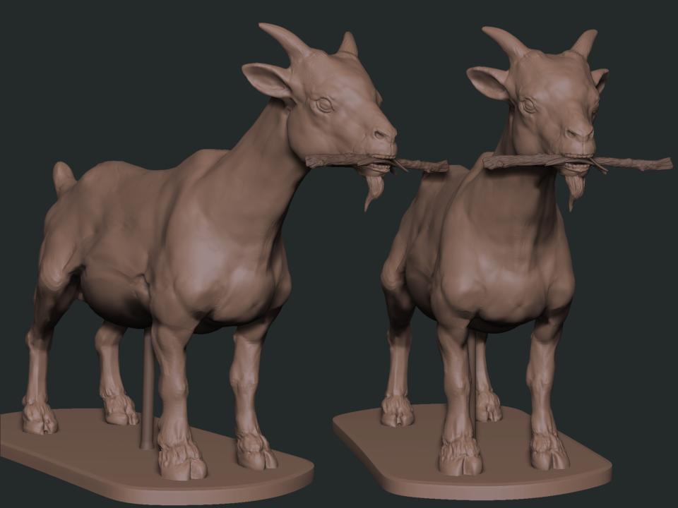 animal sketch  v5.2.jpg