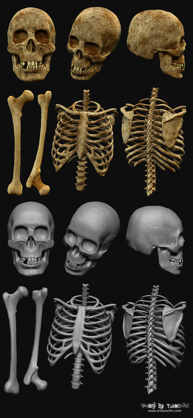 bones.jpg