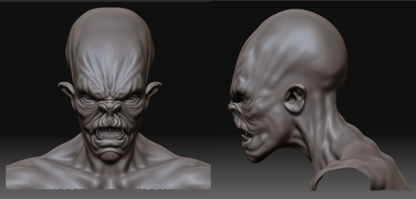 Face2ViewWIP.jpg