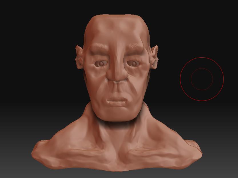 Bust7Front.jpg