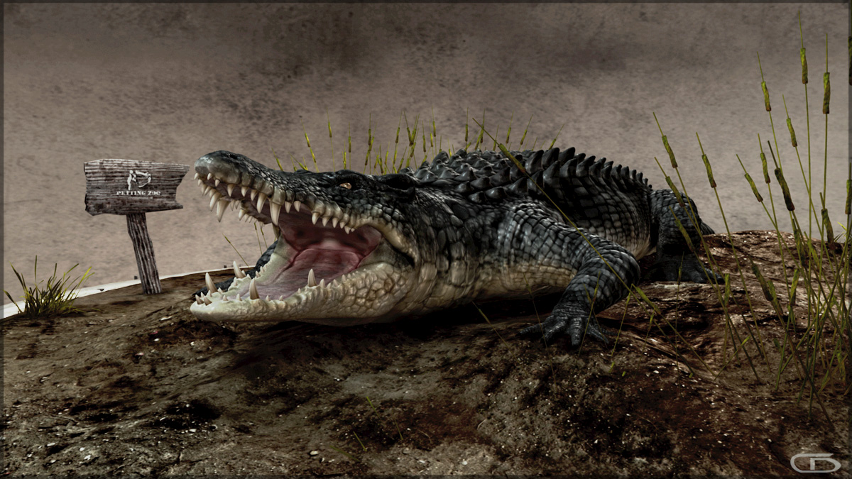 Croc_2.jpg