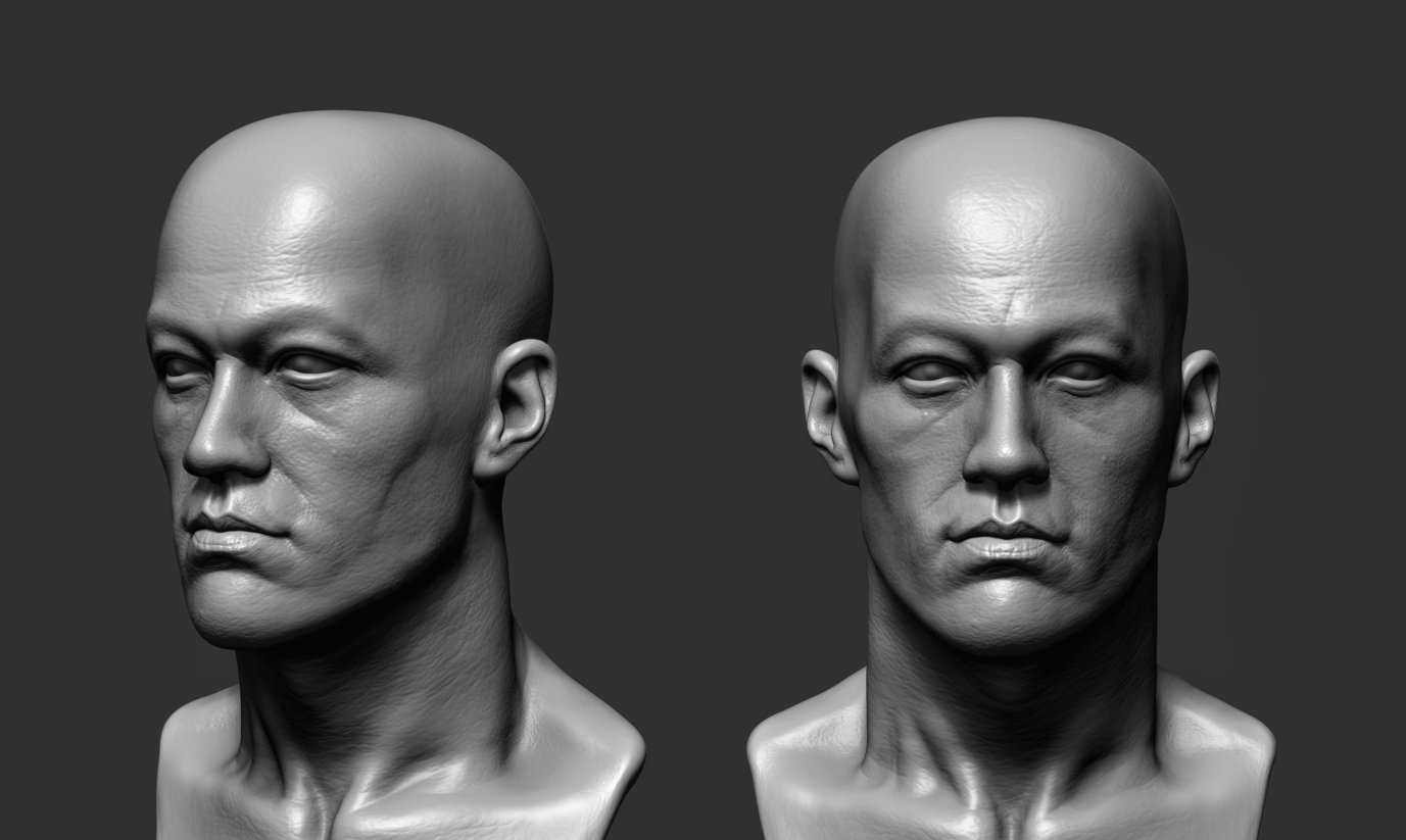 niyazi-selimoglu-bruce-study.jpg