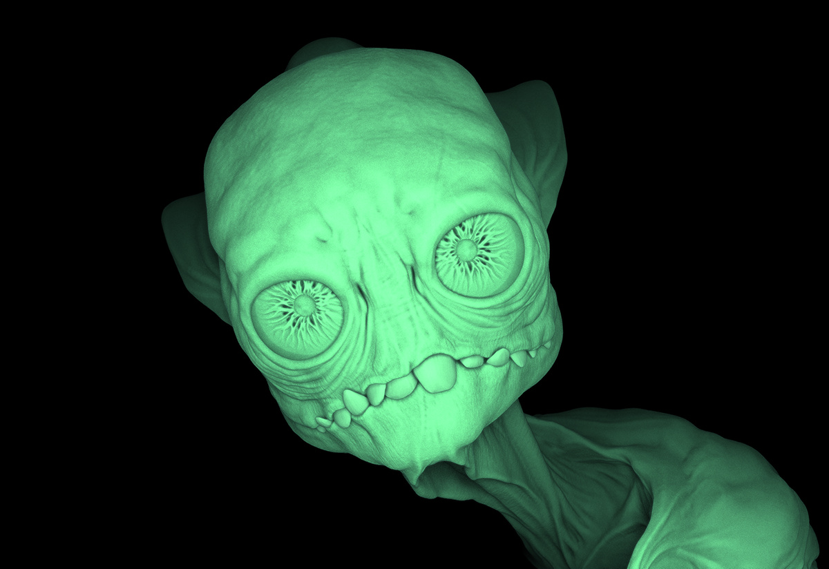 Nocturnal_Sample.jpg