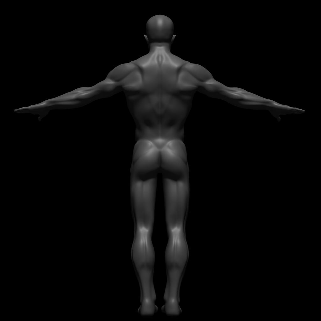 gymback.jpg