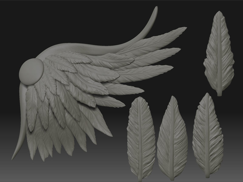 Thor39_wing.jpg