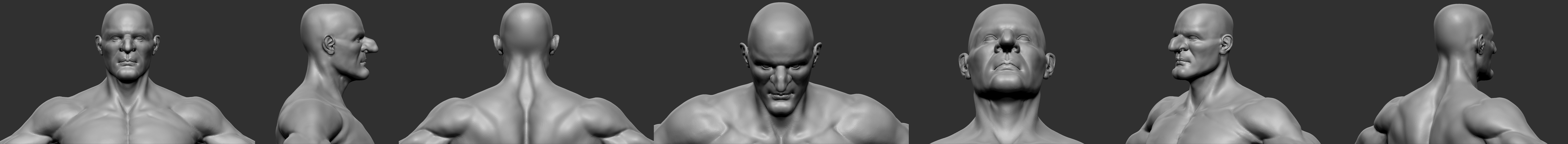 MuskLN_Head.jpg