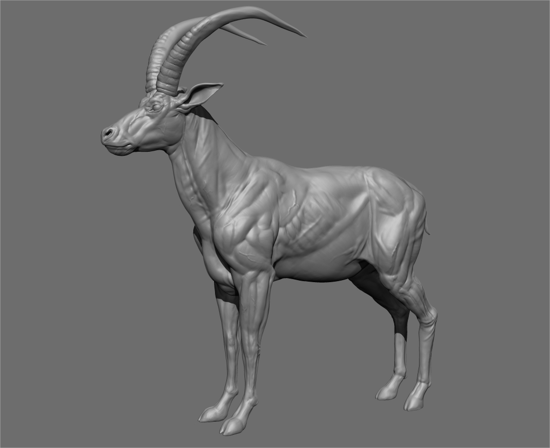 antelope_presentation_002.jpg