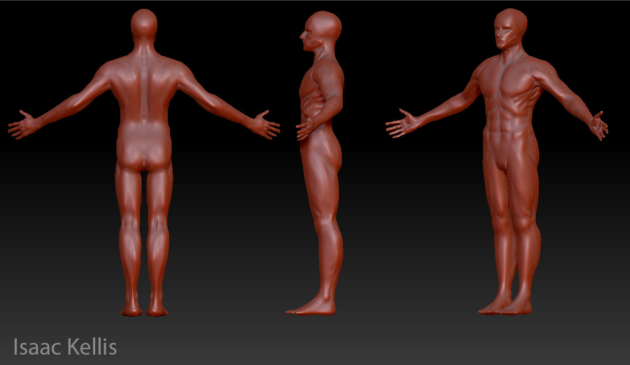 MaleBaseMesh2.jpg