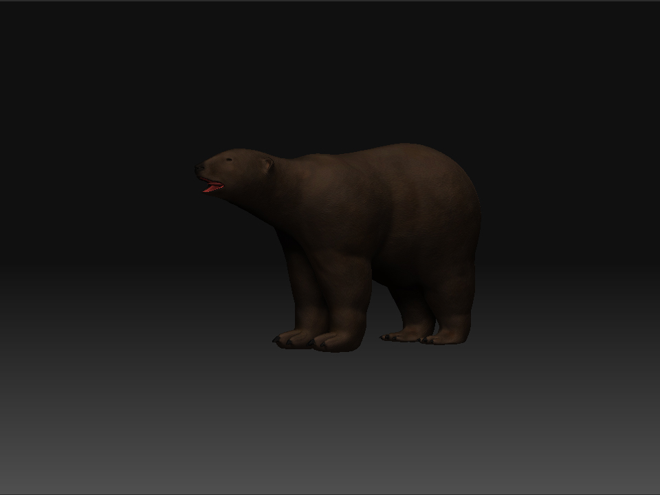 Bear 5.jpg