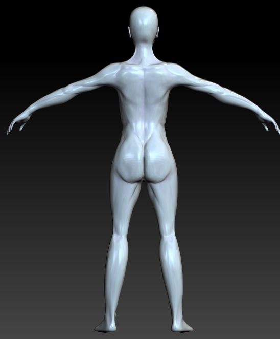 FEMALE ANATOMY retry20.jpg