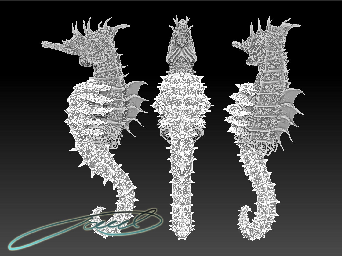 SEAHORSE_00.jpg