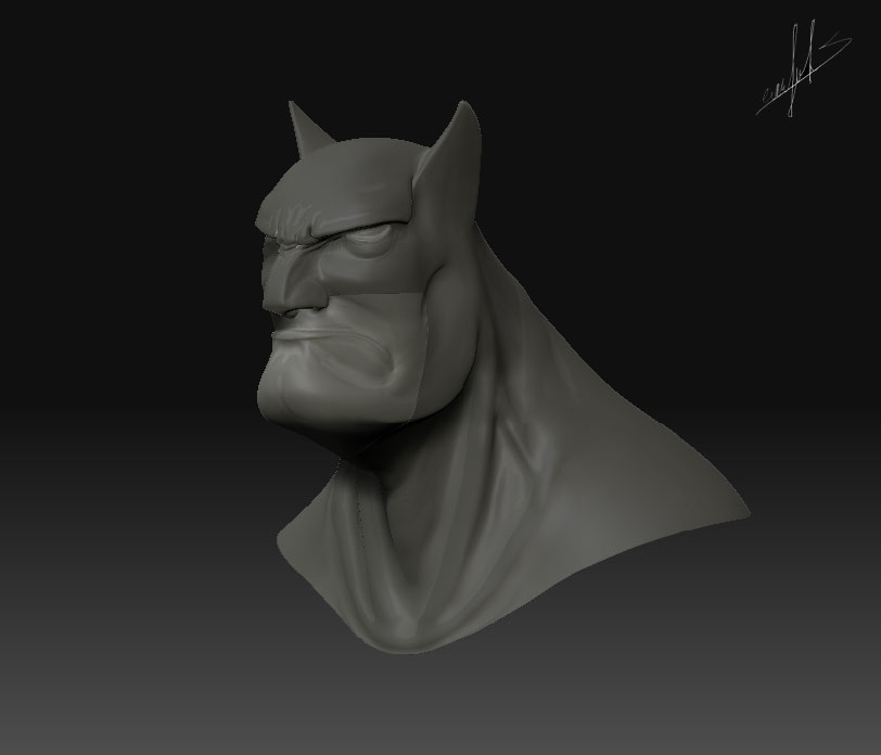 WIP.jpg