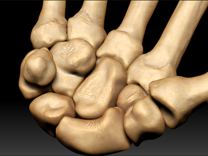 handrendc.jpg