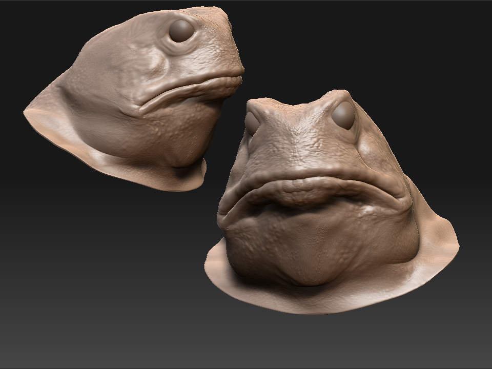 toad_head.jpg