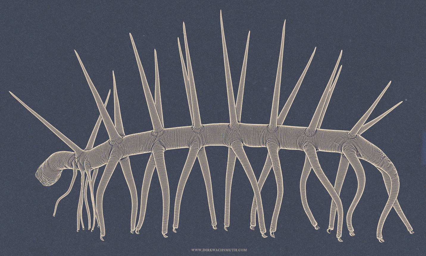 hallucigenia_illustration_02__by_dirk_wachsmuth_sg.jpg