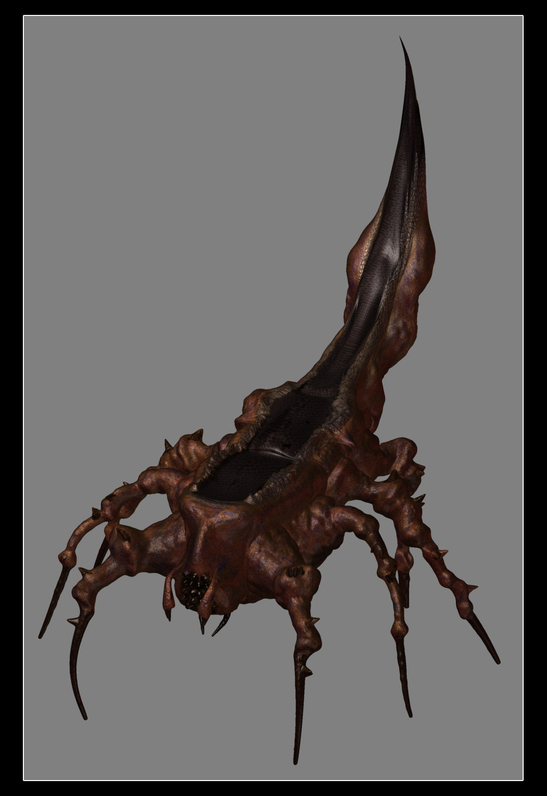 BugPortfolioNew.jpg