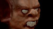 VAMPIRE 24.jpg