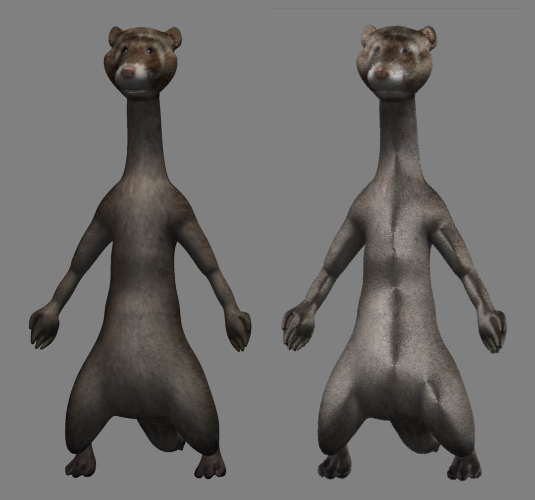 FerretFibres2.jpg