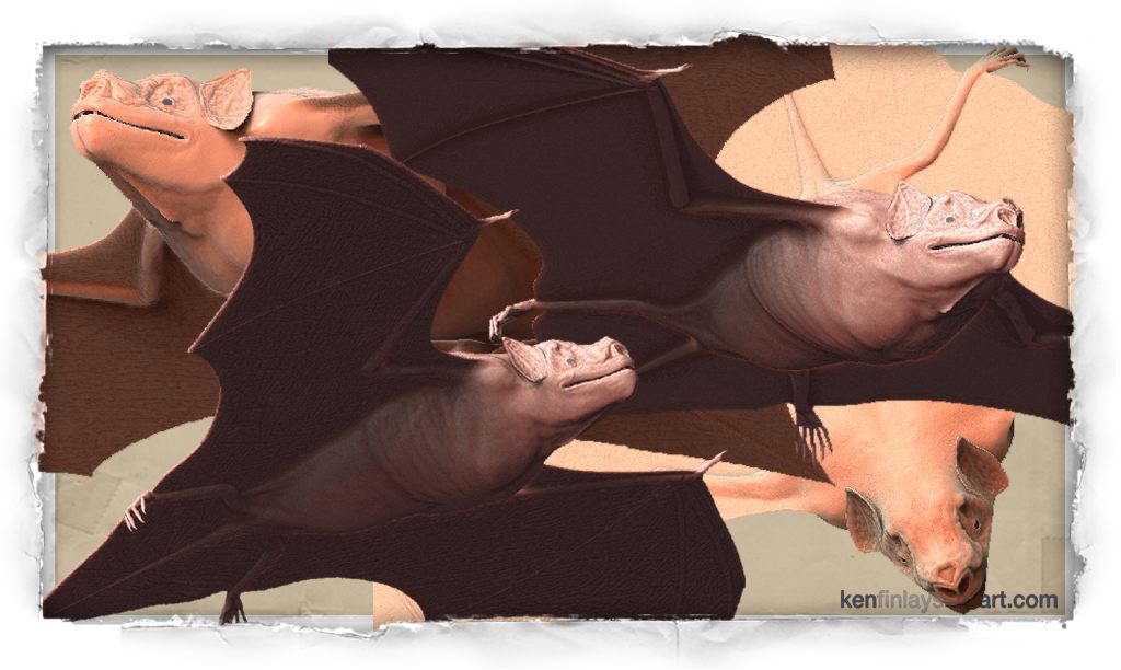 2005_bat_200.jpg