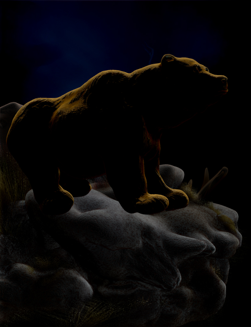 GRIZZLY BEAR CLIFF 7.jpg
