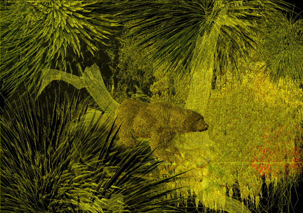 WATER-REFLECTIONS-FIBERMESH.jpg