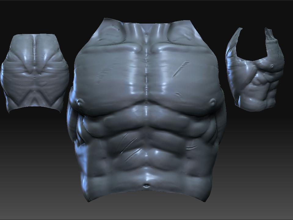 adam torso study.JPG