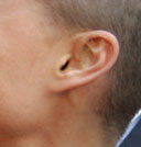 ear.jpg