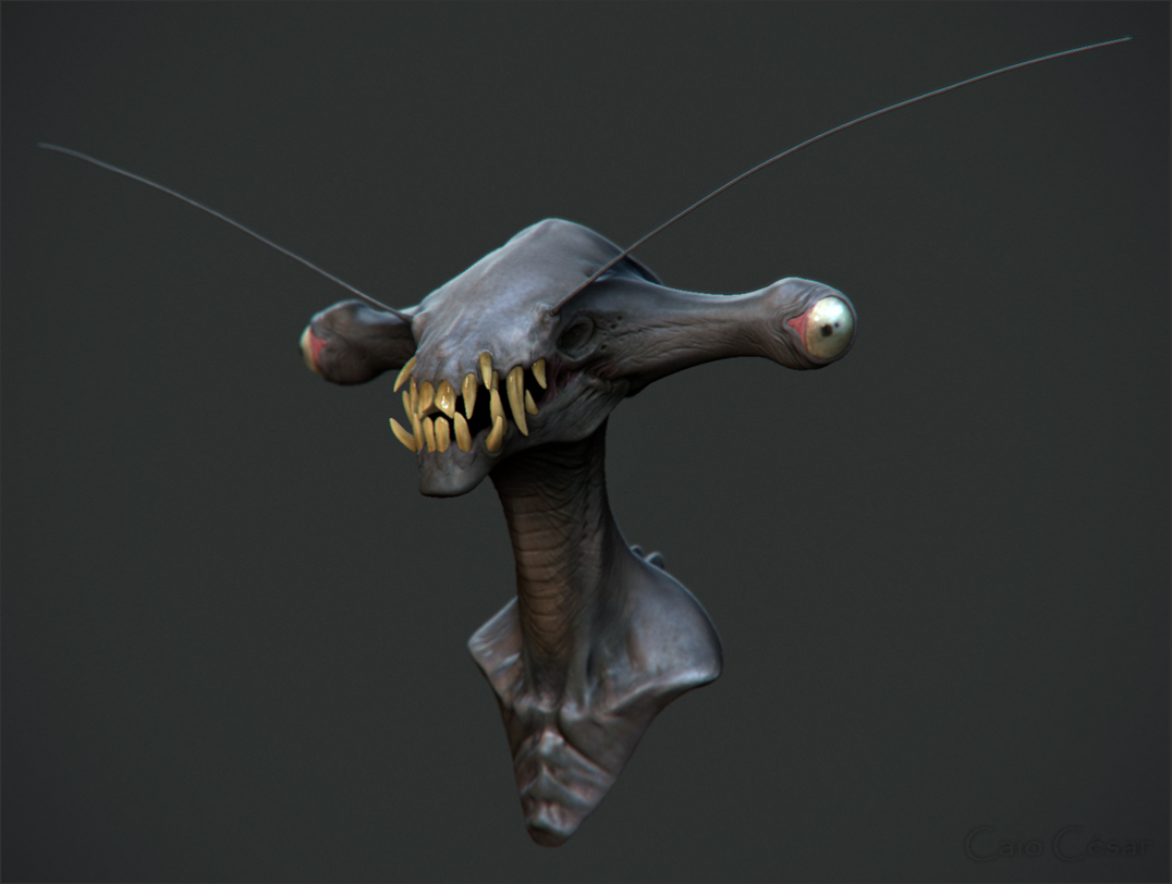 jordu-shcell-monster3
