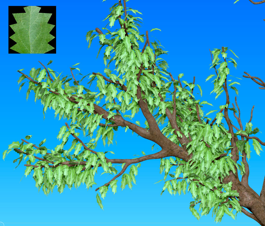 test.jpg