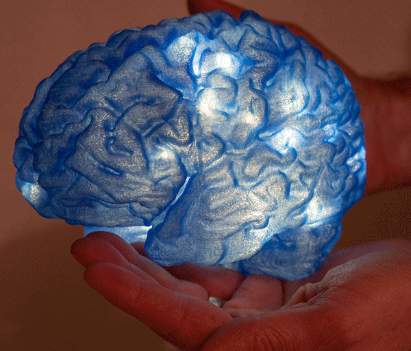 Brain_11.gif