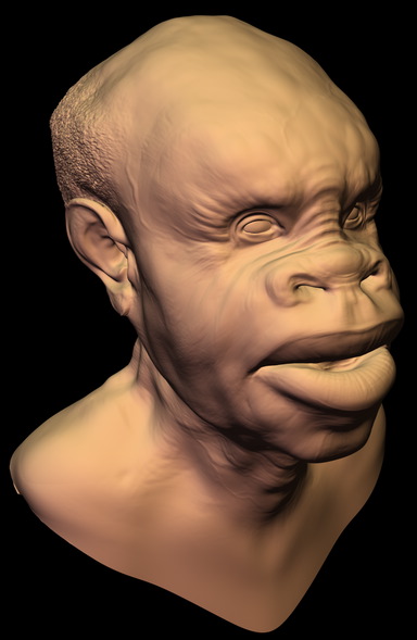 SPDtest1.jpg