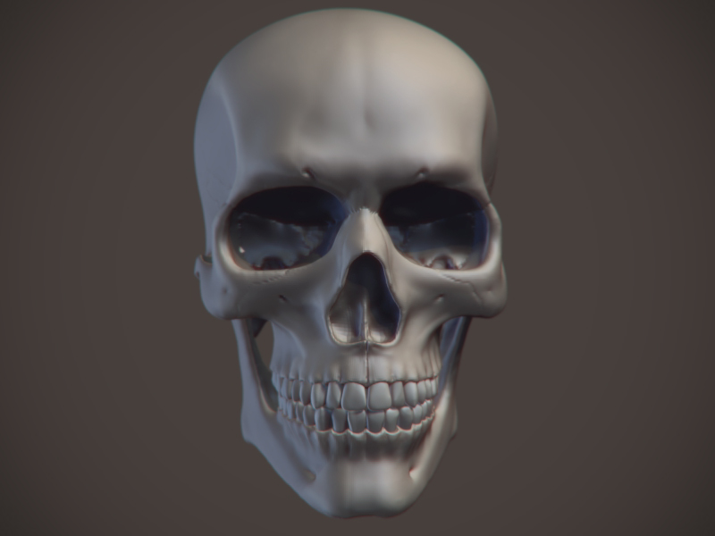 Skull_02.jpg