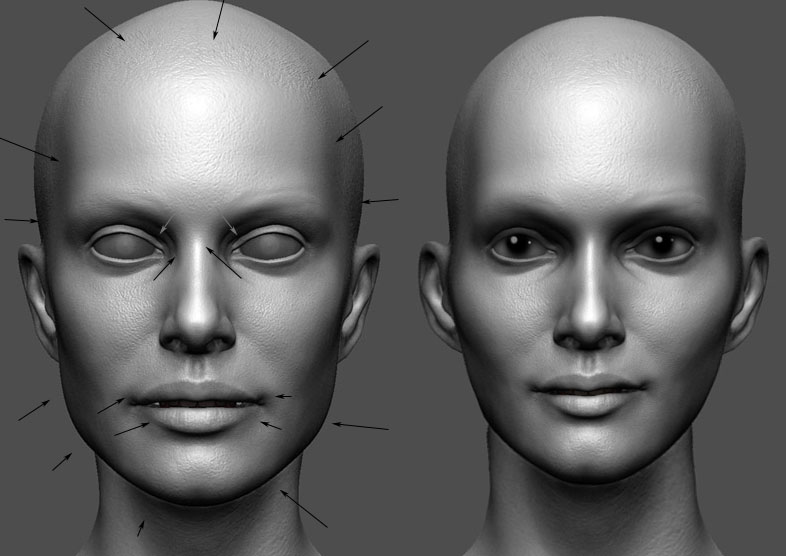 head.jpg