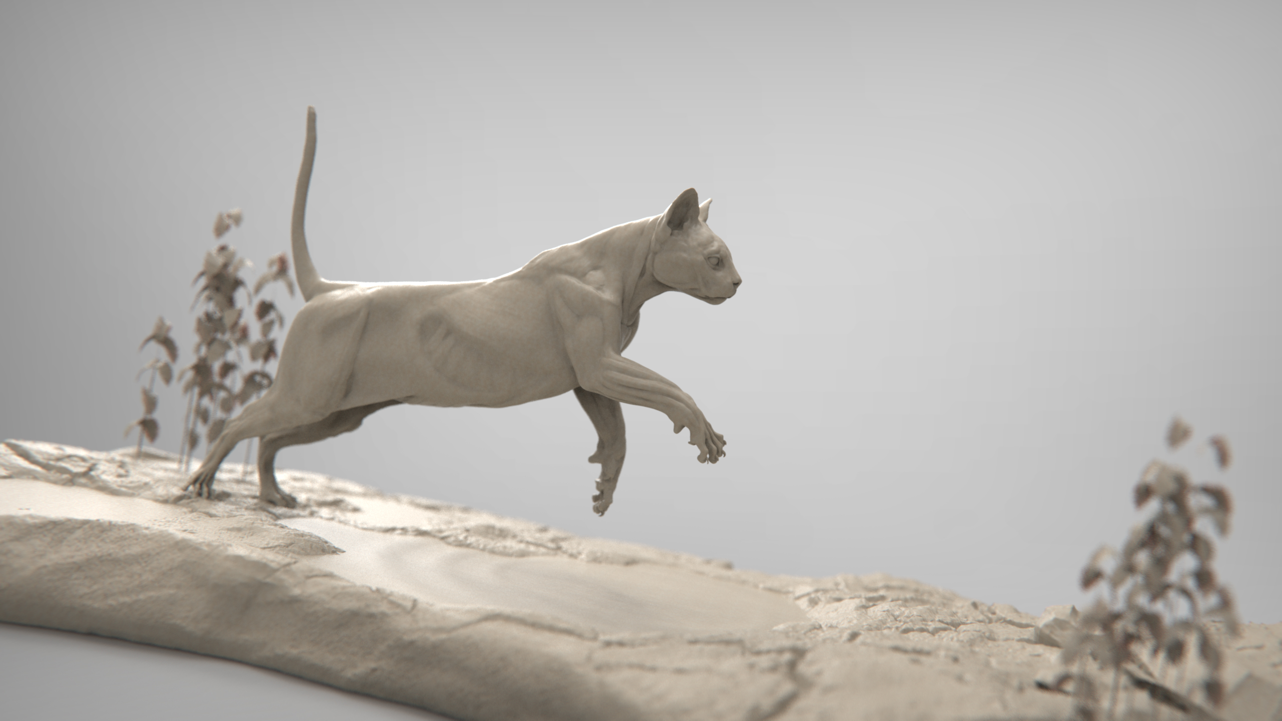 MarcusTrolldenier_SculptingAnatomy_week4_domestic_cat_04.jpg