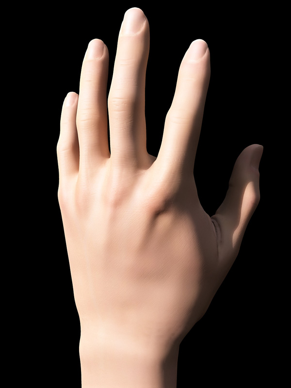 main32_800.jpg