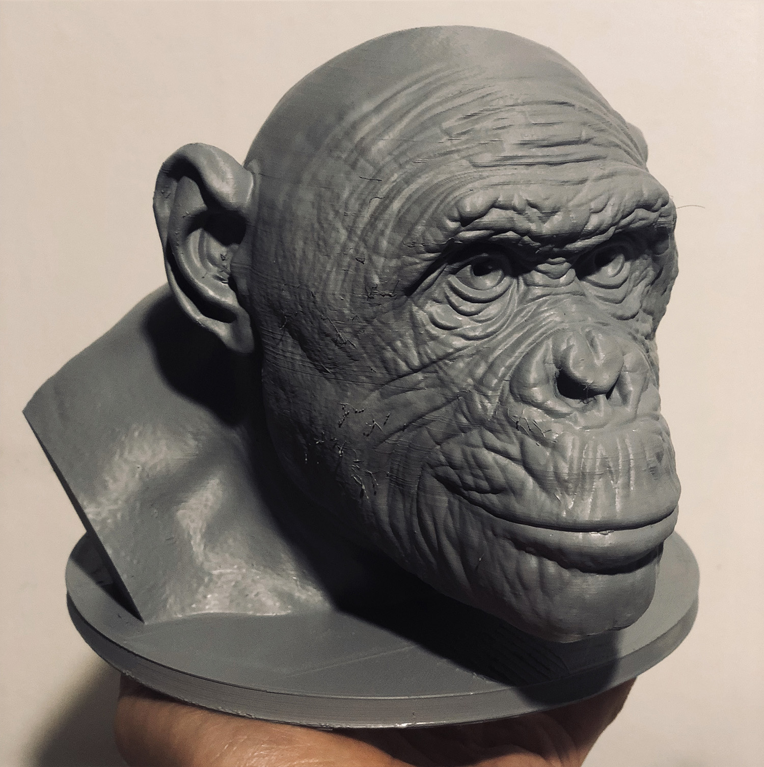 bonobo_d
