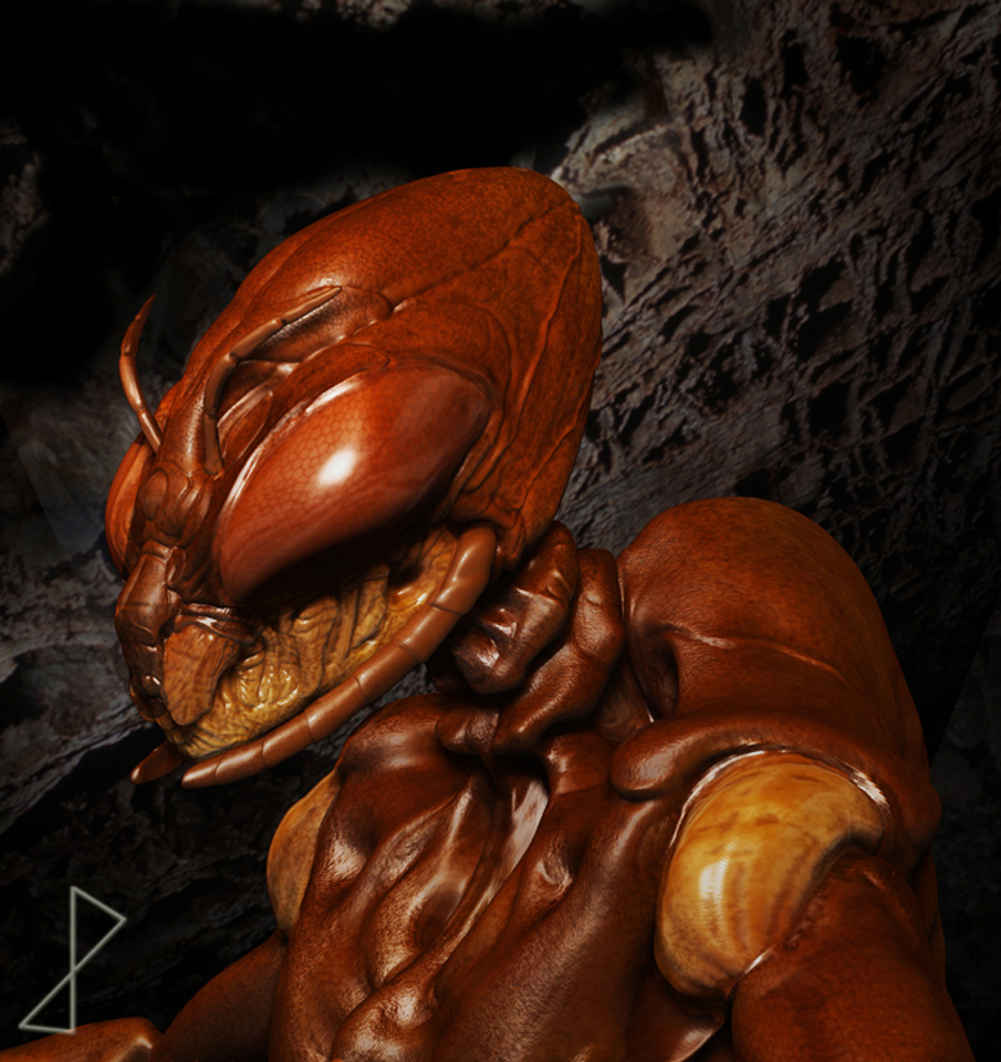 Insectus.jpg