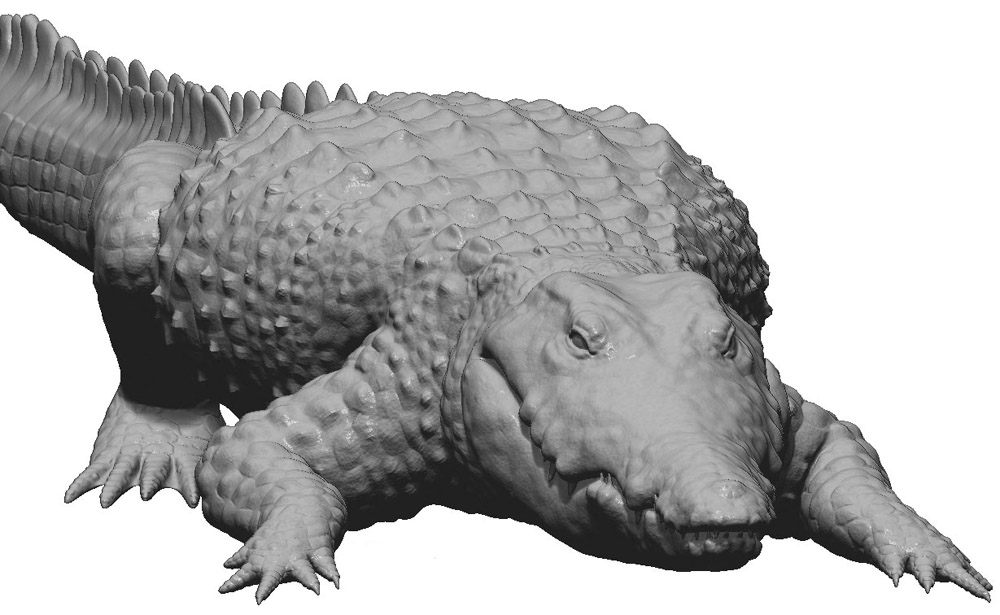 croc2.jpg